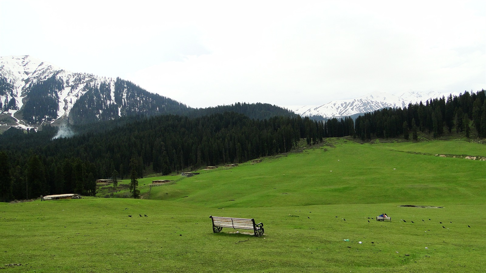 Kashmir Family Adventure & Amusement (7D/6N) - Ghumo Firoo Travels